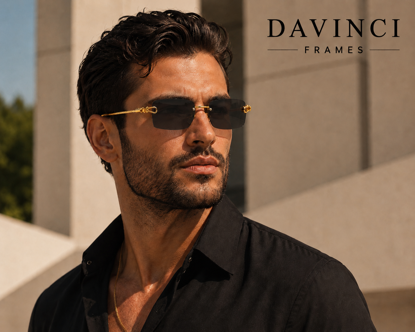 Davinci Prime Frames
