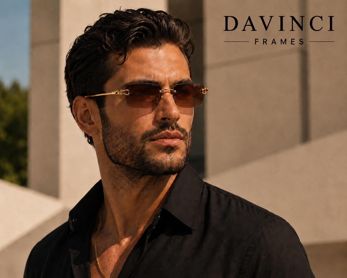 Davinci Prime Frames