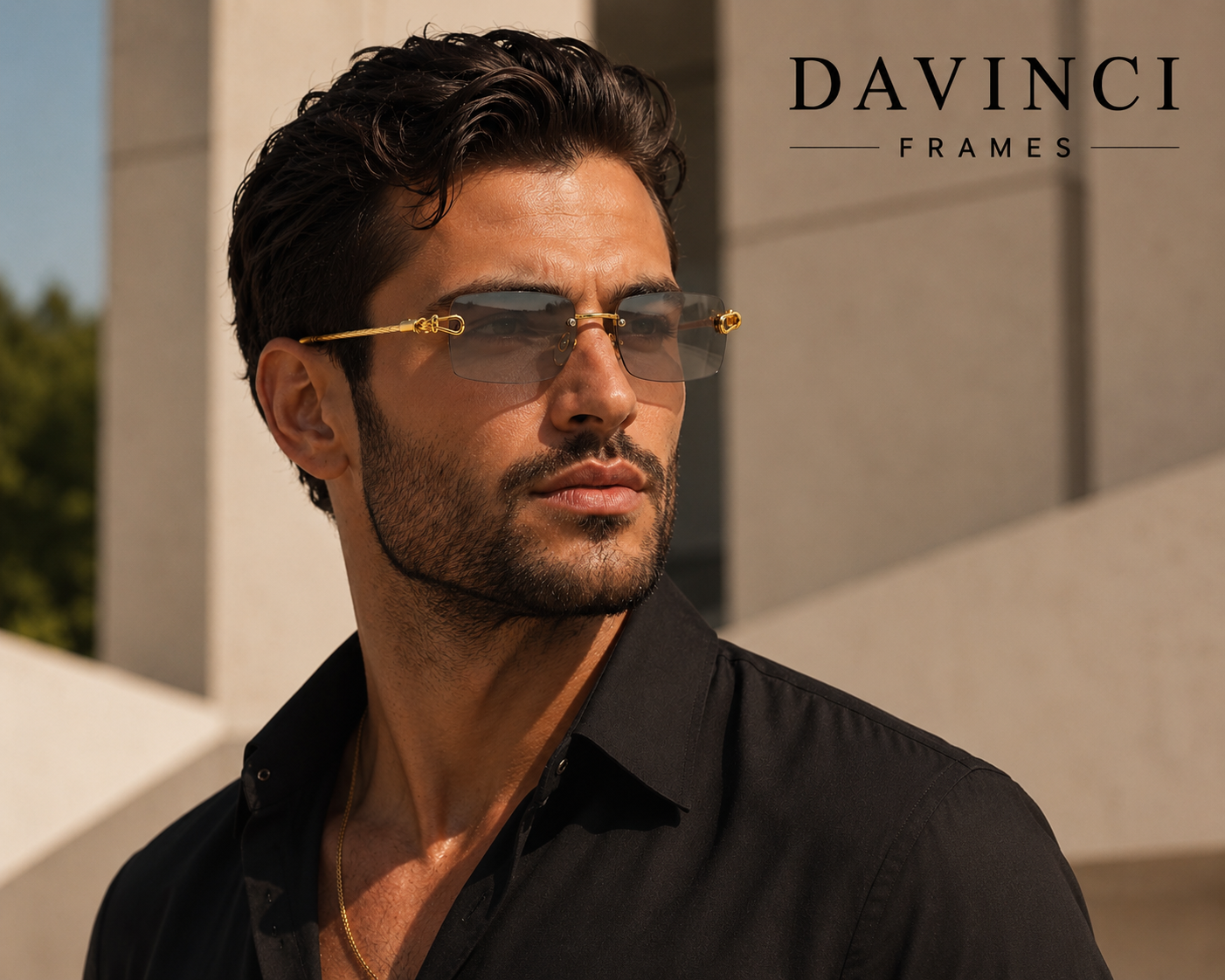 Davinci Prime Frames